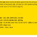 알파인 플럼 퀵드로우 이미지