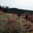 평화2태양광발전소 이미지