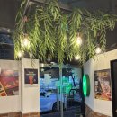 치킨신드롬 삼천포점 | [삼천포 보드게임카페 후기] 아이와 가볼만한 곳 정글비 삼천포점, 가족나들이 완벽 코스 🎲