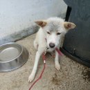 친환경로 이미지