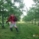 야지농장 이미지