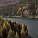 선하요양병원 이미지