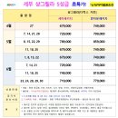 세부전문투어