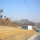 사진:아름다운 영월주천강유원지인근7,026평(생산관리+농림)귀촌,임업활동토지 이미지