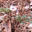 (주) 지앤엠 남원지점 | 비 내리는 지리산둘레길, 6시간 20분 완주기┃장항~운봉 구간 16.8km를 걷다