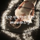 용포상회 | 창원에서 성장앨범, 만삭촬영으로 유명한 베이비파스텔 촬영 후기, 컨셉 정보
