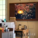 목포부설초등학교정문 | [목포맛집] 카레 전문 식당, 다우닝룸