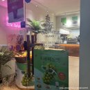 [트로피티아일랜드 방배카페골목점] 방배동 생과일 전문 디저트 카페 추천
