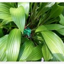 수림유치원 이미지