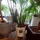 여주-0704 이미지