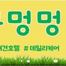킁킁멍멍 네이버블로그