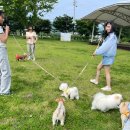 일산자두골마을 이미지