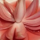 시흥식당 이미지