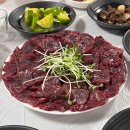 숲속 부엉이 어린이 공원 이미지