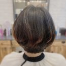 레나강헤어비스 이미지