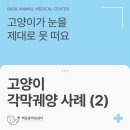 진안동물병원 이미지