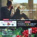 엔잭타커피