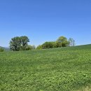 갈곡농장 이미지