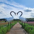 한탄강 유람 이미지