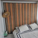 코지네이쳐 이미지