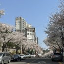 베이커스주 이미지