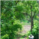 해와별여행 이미지