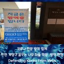 꿈꾸는나무미술학원