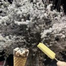 제7회 힐링나눔 콘서트 | 박효신콘서트 후기_260404