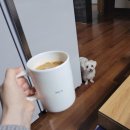 3월 첫째 주, 다이슨 받고 행복한 마음 술로 부시기!