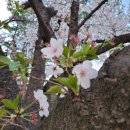 스마트폰활용기초 이미지