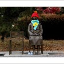 시청앞 공원 이미지