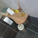 리꼬카페