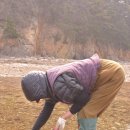 소나무펜션형민박 이미지