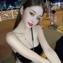 프리지아 이미지