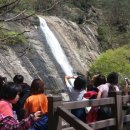 진안여중 이미지