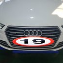 다나모터스 이미지