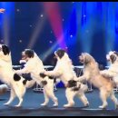 Wolfgang Lauenburger - Dressage de Chiens - Le Plus Grand Cabaret Du Monde 이미지