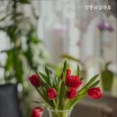 마루요양병원 | 믿을만한 성북구 추천 요양원 방문요양마루 부모처럼 돌봄