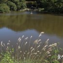 화동못 수변공원 이미지