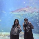 그날농장 | [덕계품태권도]🐬아쿠아플라닛+딸기농장체험 후기🍓