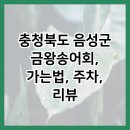 금왕송어회