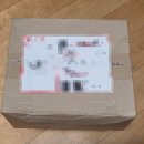 달나무농장 | 영월이룸농장 | 비타민나무 잎차 티백 체지방 분해 피부미용 붓기 빼기