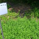 섭이네 농장 이미지