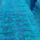 임마누엘팜 이미지