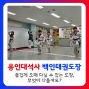용인대석사백인태권도장 이미지
