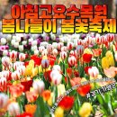 5월 24일(일) 테마여행- 가평 아침고요수목원 봄꽃축제 힐링여행 .♡39,000원(입장료포함).중(찰밥). 37석 리무진운행 이미지