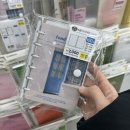 캔마코리아 | 2월 : 2월이라고? 거짓말치지마ㅎ (ft.올영에서 야매 품평회+다이소 갓생템+화장품 정리 테무깡)