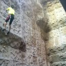 수지아르피아 이미지