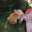 맴맴 - 광산구 임방울대로826번길 19-20 | 맴맴