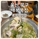 울산 북구 복어 맛집 매곡 중산동 복어요리 대복복집 방문 후기
